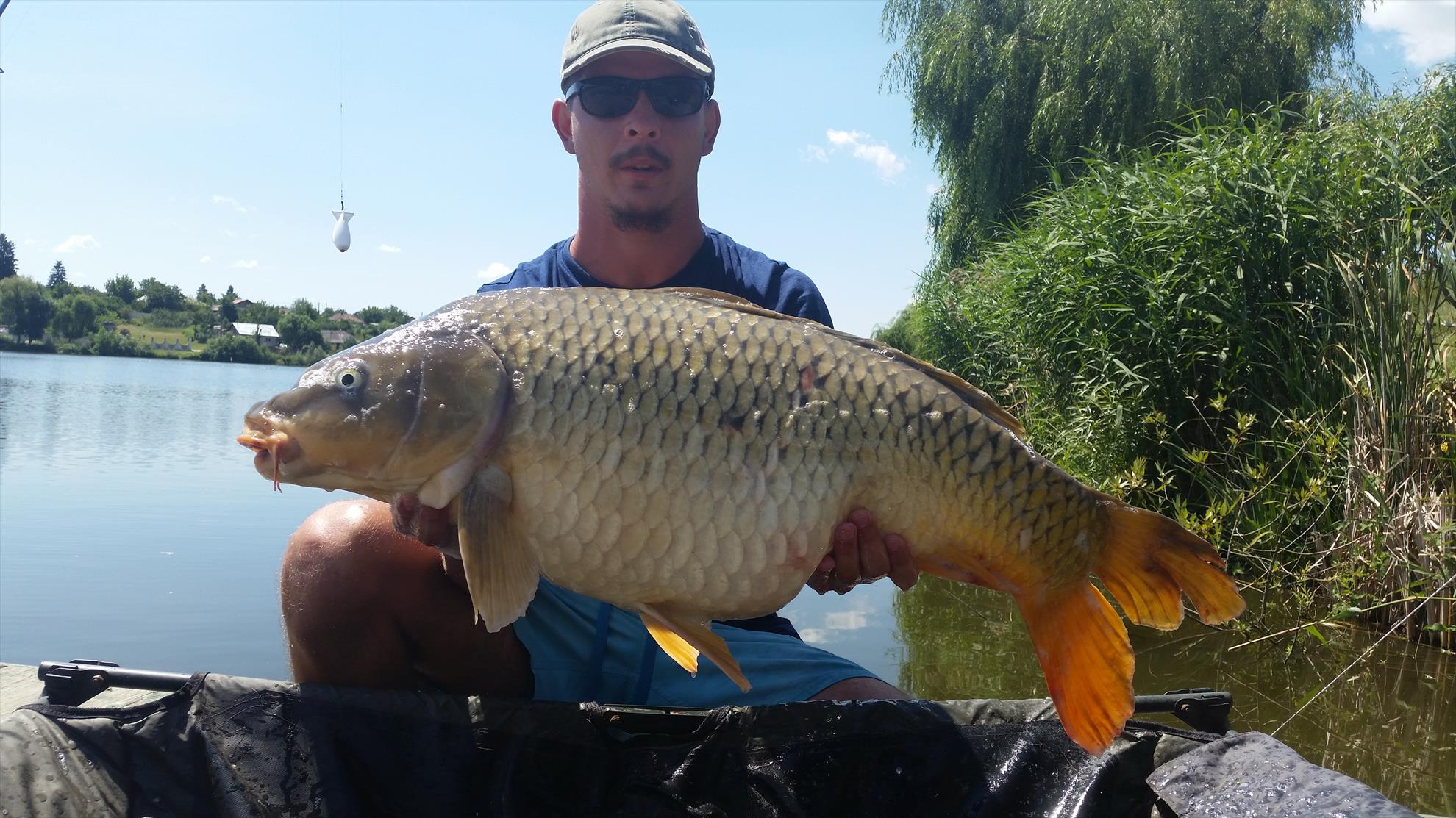 Moara Vlasiei 2 8 - 10 iulie 2016 - 20160710115321.jpg